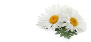 B&B Hemstädning Miljö